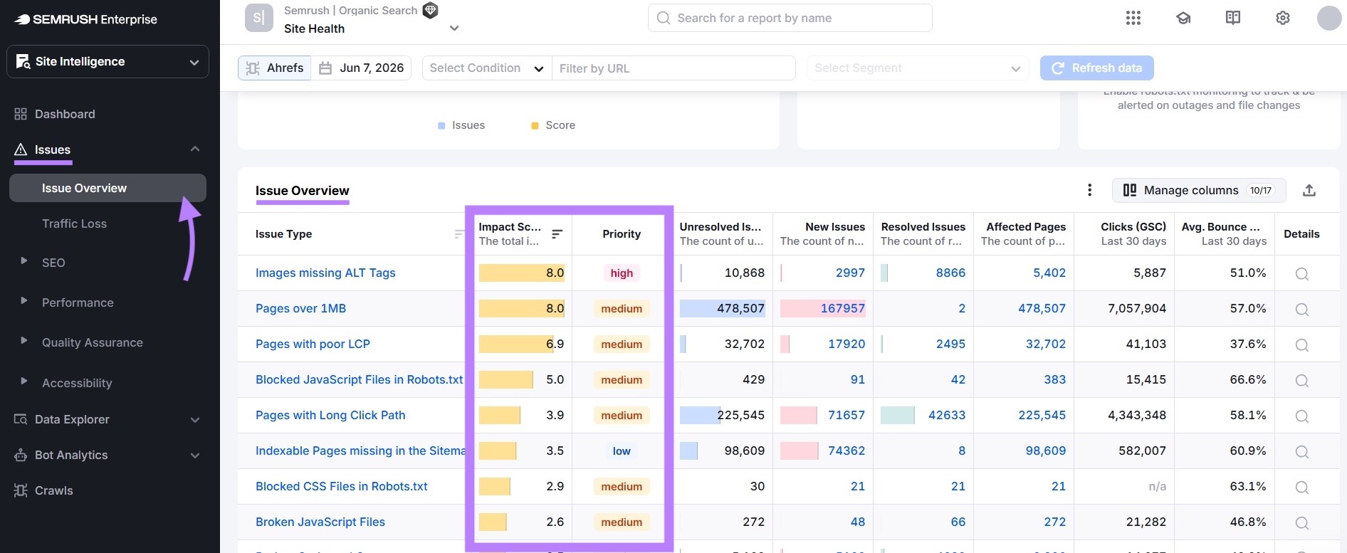 The Issue Overview report with the "Impact Score" and "Priority" columns highlighted.